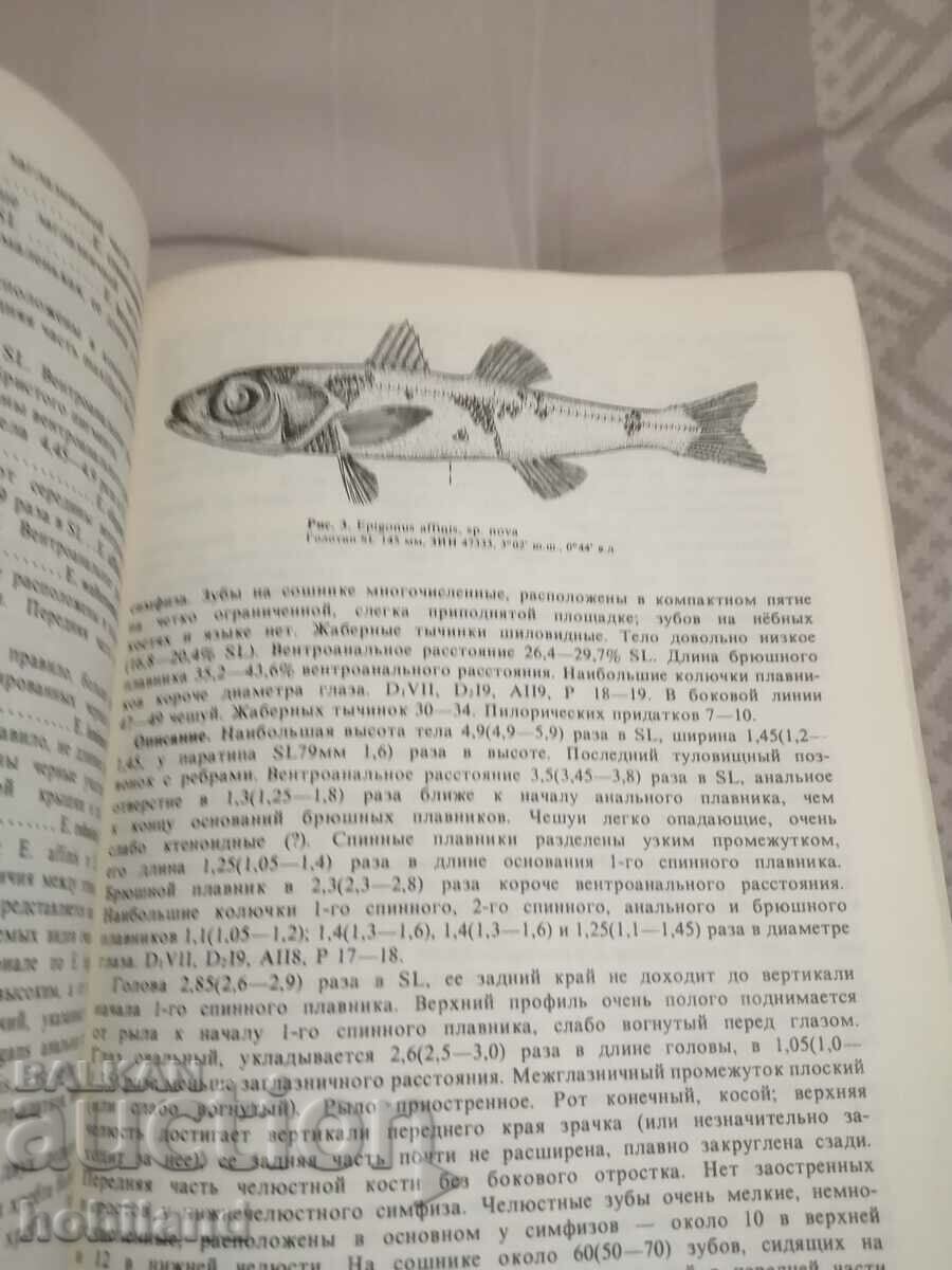 Pești pelagici și de adâncime. cu preț 1.00 BGN | € 0.51 Pești pelagici și de adâncime. cu preț 1.00 BGN | € 0.51