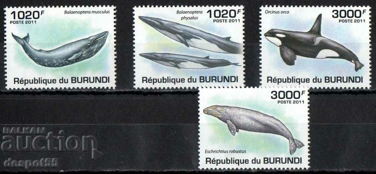 2011. Μπουρούντι. Θαλάσσια ζωή - φάλαινες.