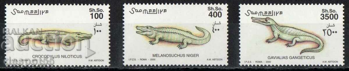 2000. Somalia. Crocodili.