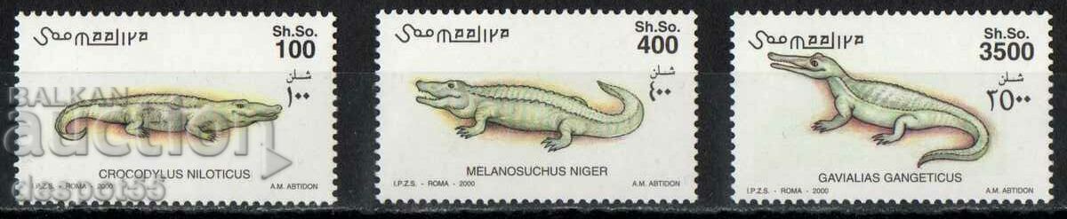 2000. Somalia. Crocodiles.