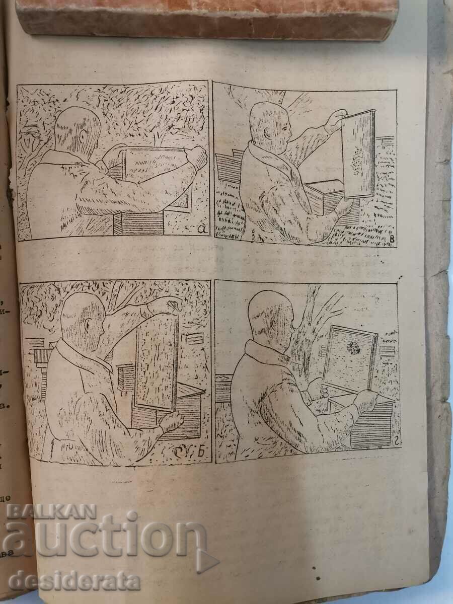 Old textbook on beekeeping - 7 Old textbook on beekeeping - 7