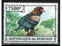 2013. Burundi. Păsări de pradă + bloc.