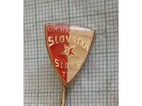 Badge - Football club Slovacka Slavia Czech Republic