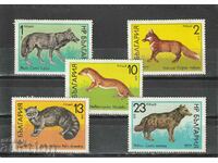 Bulgaria 1977 Carnivorous mammals BK№2659/63 clean