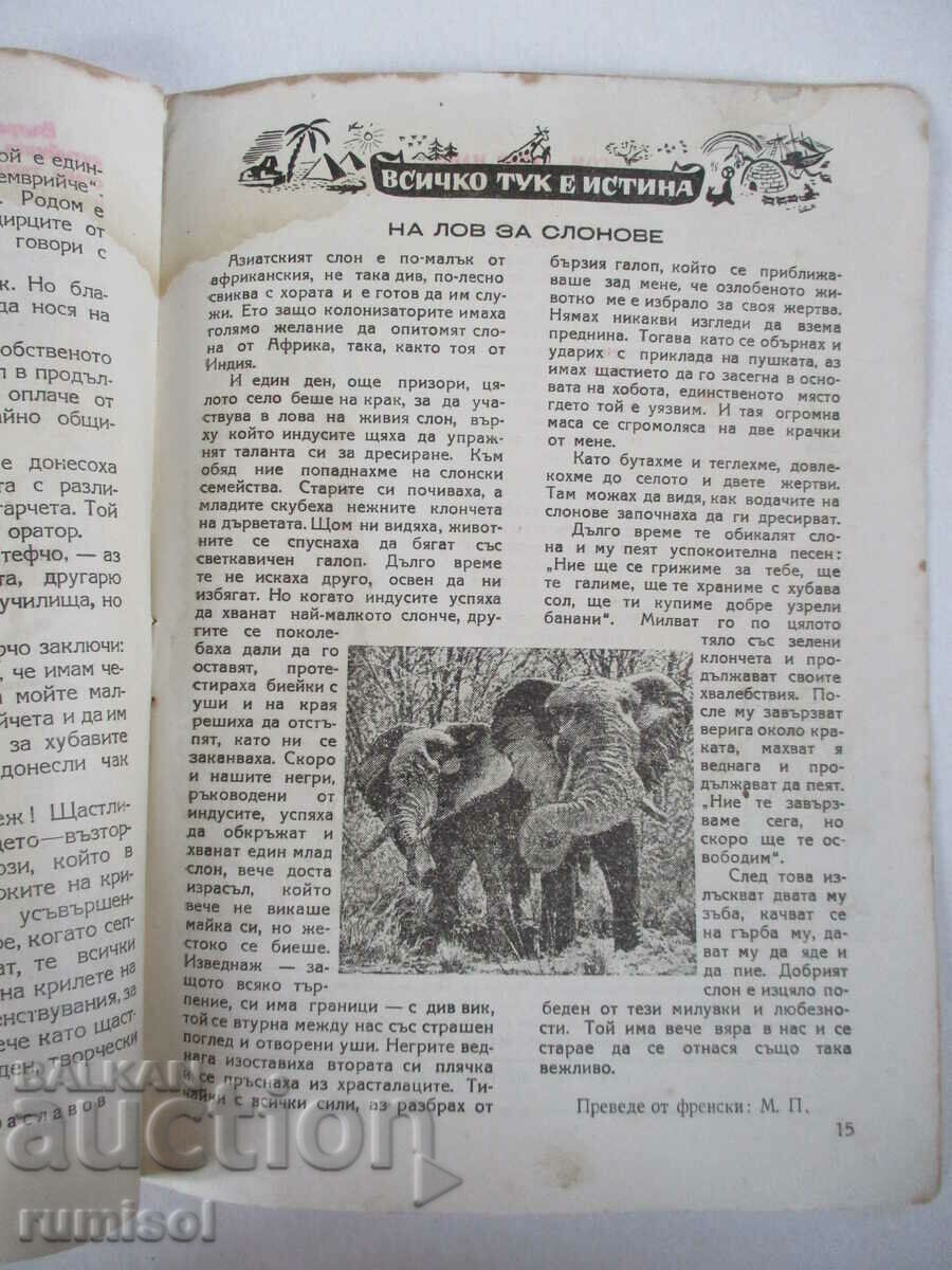 Bell - Numărul 1, Anul 3 - 5