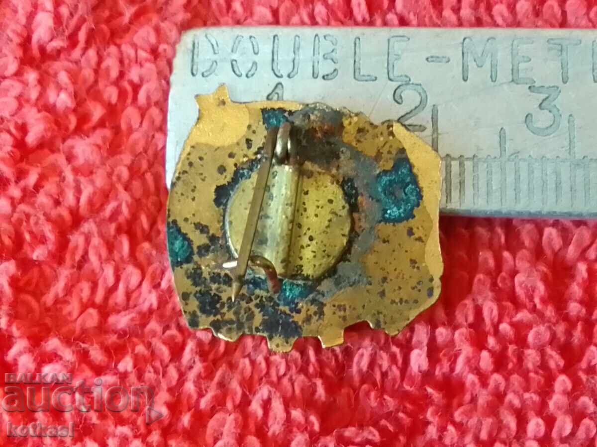 Old social badge enamel DKMS Georgi Dimitrov with price 2.50 BGN | € 1.28