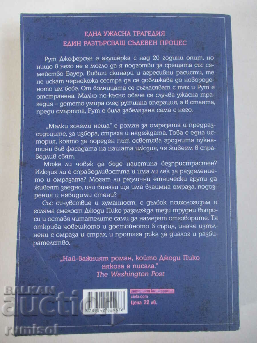 Доставка на Малки големи неща - Джоди Пико