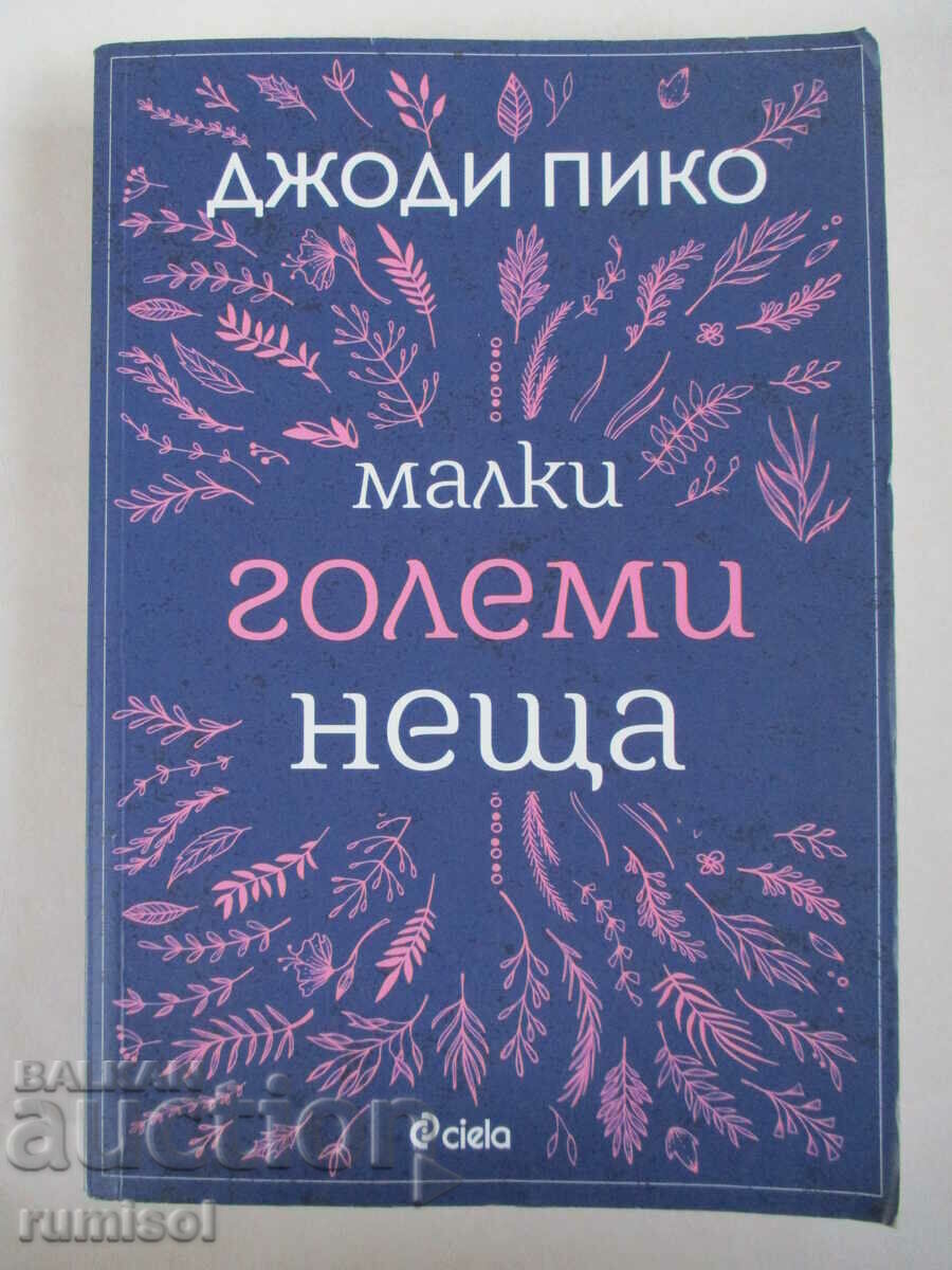 Малки големи неща - Джоди Пико