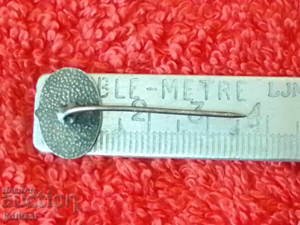 Παλιό κοινωνικό σήμα καρφίτσα Γεωφυσικές και Γεωλογικές Επισκοπήσεις με τιμή 10.50 BGN | € 5.37 Παλιό κοινωνικό σήμα καρφίτσα Γεωφυσικές και Γεωλογικές Επισκοπήσεις με τιμή 10.50 BGN | € 5.37