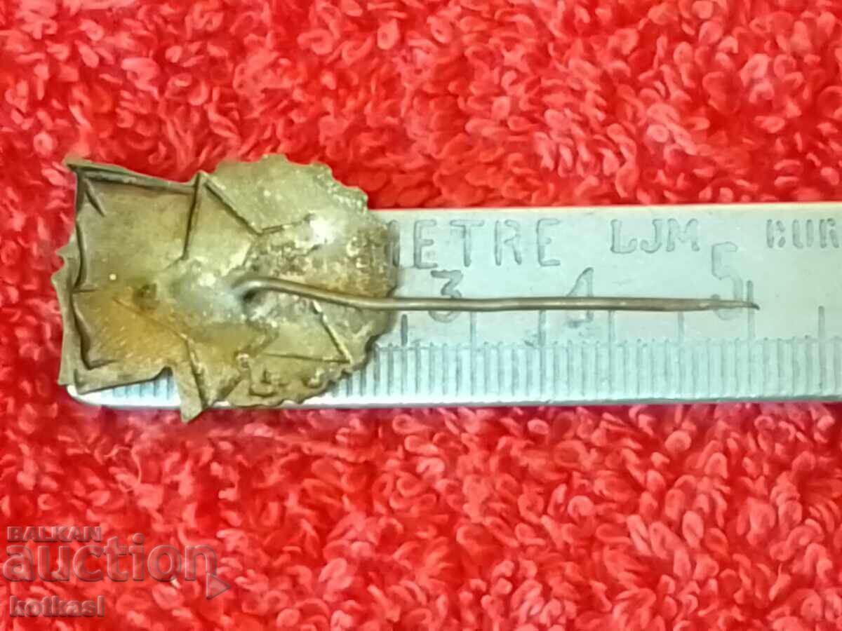 Стара соц метална  значка игла   емайл Чехословакия с цена 21.00 лв. | € 10.74