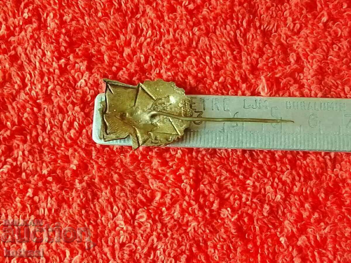 Стара соц метална  значка игла   емайл Чехословакия - 5