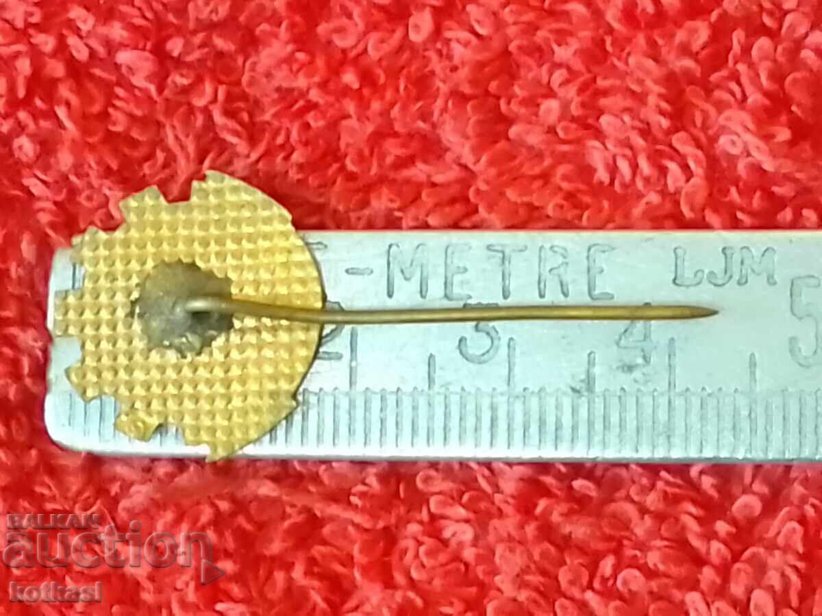 Old social metal pin badge CS on TPK enamel with price 10.50 BGN | € 5.37 Old social metal pin badge CS on TPK enamel with price 10.50 BGN | € 5.37