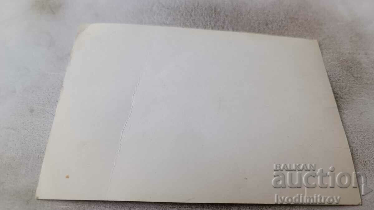 Photo Poodle with price 1.45 BGN | € 0.74