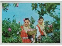 Καρτ ποστάλ της Βουλγαρίας. BULGARIA BULGARIA Συλλογή από τριαντάφυλλα Τριαντάφυλλο