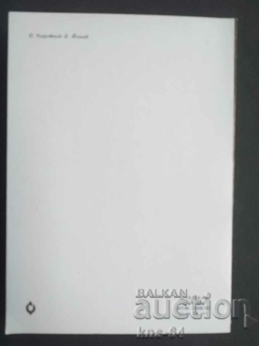 Auction  May 1 Social Propaganda