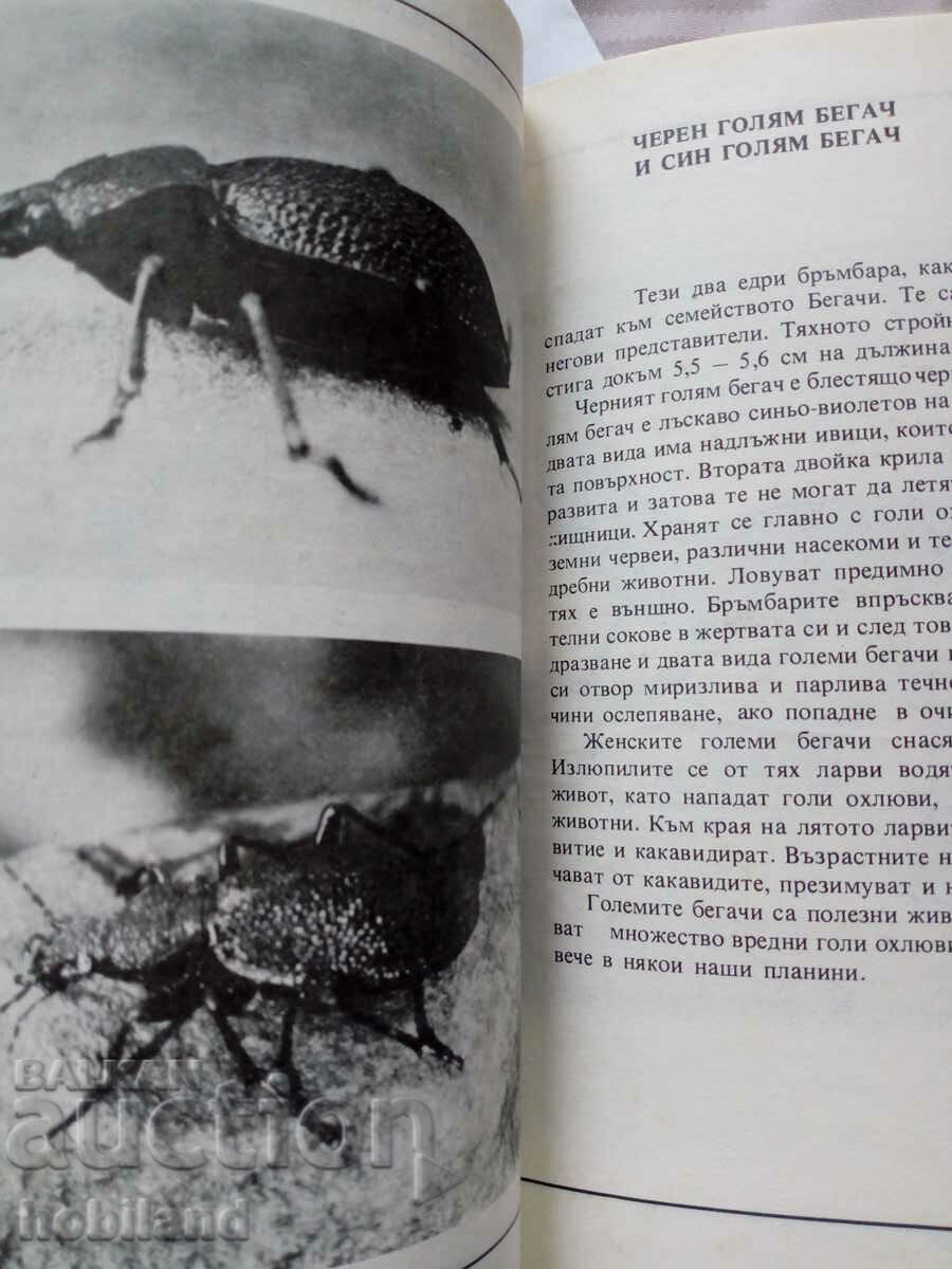 Don't kill them with price 2.00 BGN | € 1.02 Don't kill them with price 2.00 BGN | € 1.02