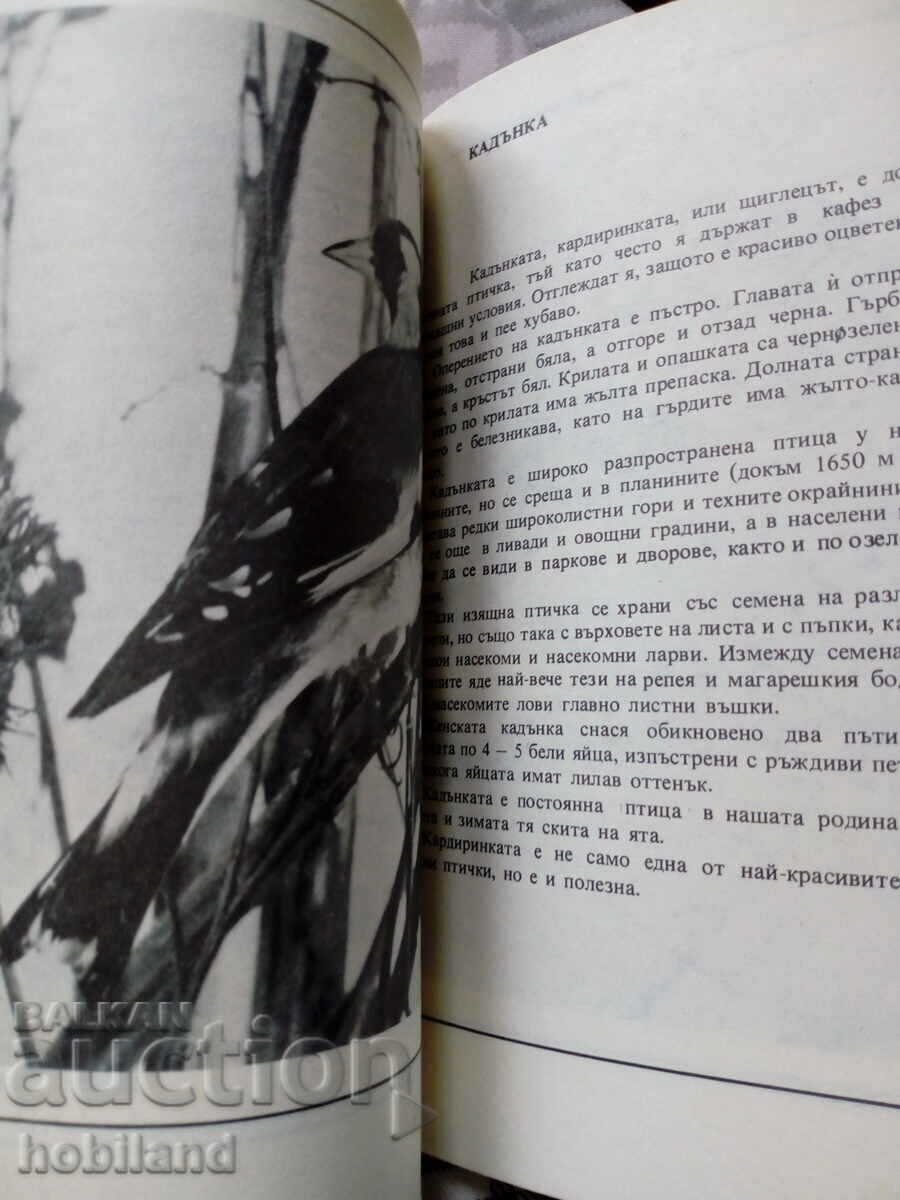 Delivery of Don't kill them Delivery of Don't kill them