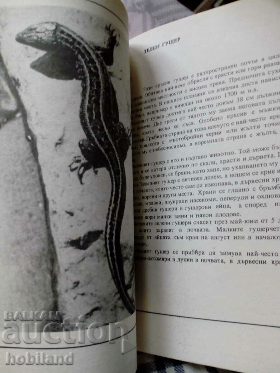 Don't kill them - 5 Don't kill them - 5