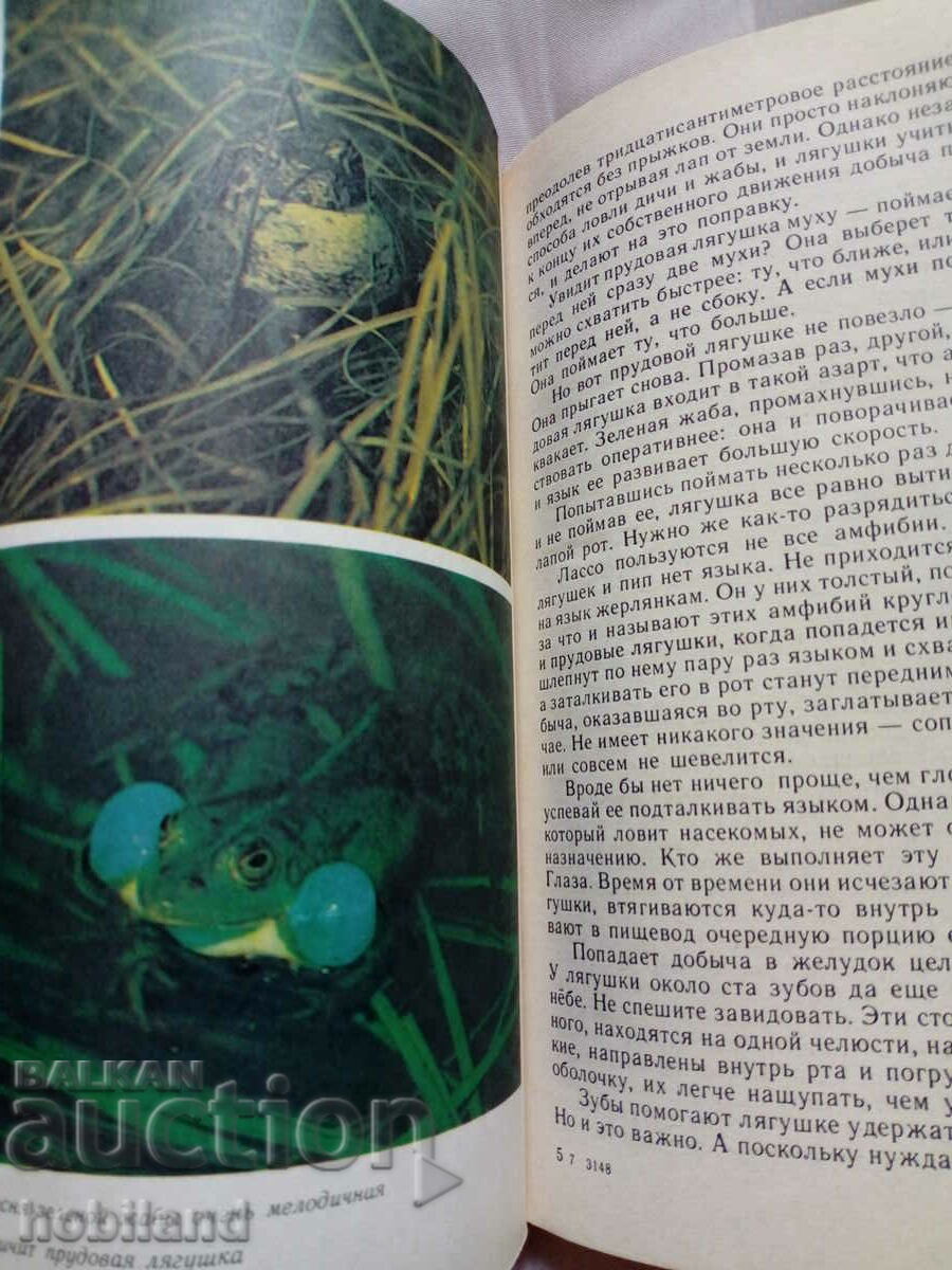 Аукцион Вечньie странники Аукцион Вечньie странники