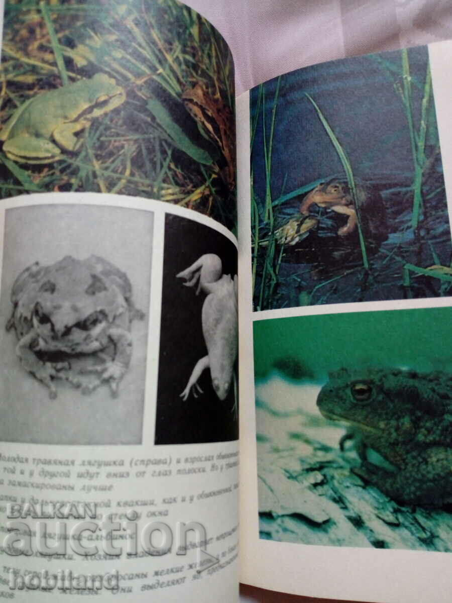 Доставка на Вечньie странники Доставка на Вечньie странники