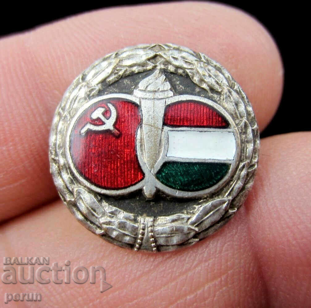 Old Badge-Communist Propaganda-USSR and Hungary Friendship