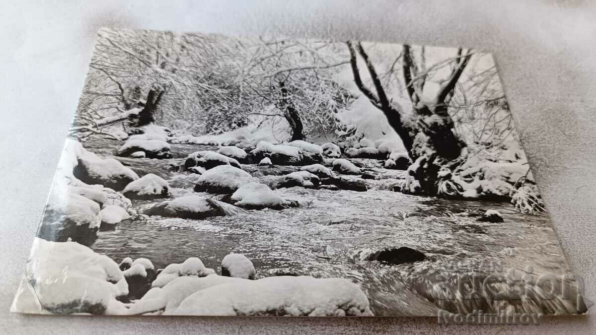Postcard Mountain stream in winter 1977