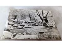 Carte poștală Pârâul de munte în iarna 1977