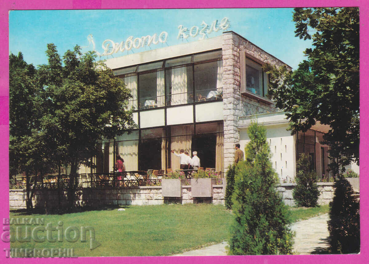 Auction 309235 / Haskovo Restaurant Wild Goat Akl-2019 Photo edition Auction 309235 / Haskovo Restaurant Wild Goat Akl-2019 Photo edition