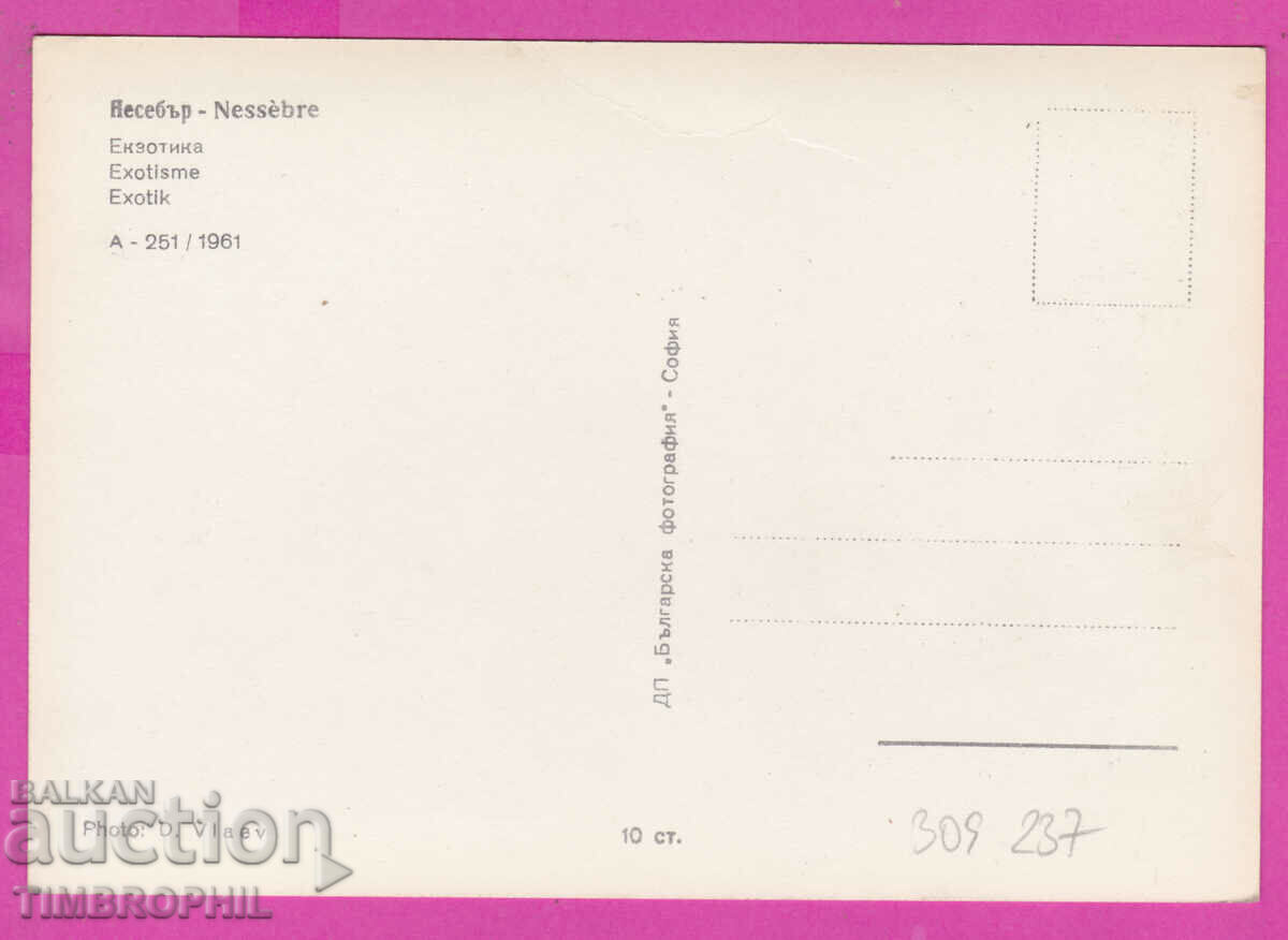 309237 / Nessebar - Two camels with camel drivers on the beach A-251/1961 with price 3.50 BGN | € 1.79 309237 / Nessebar - Two camels with camel drivers on the beach A-251/1961 with price 3.50 BGN | € 1.79