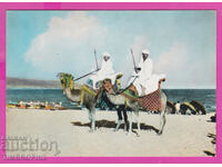 309237 / Nessebar - Δύο καμήλες με οδηγούς καμήλες στην παραλία A-251/1961