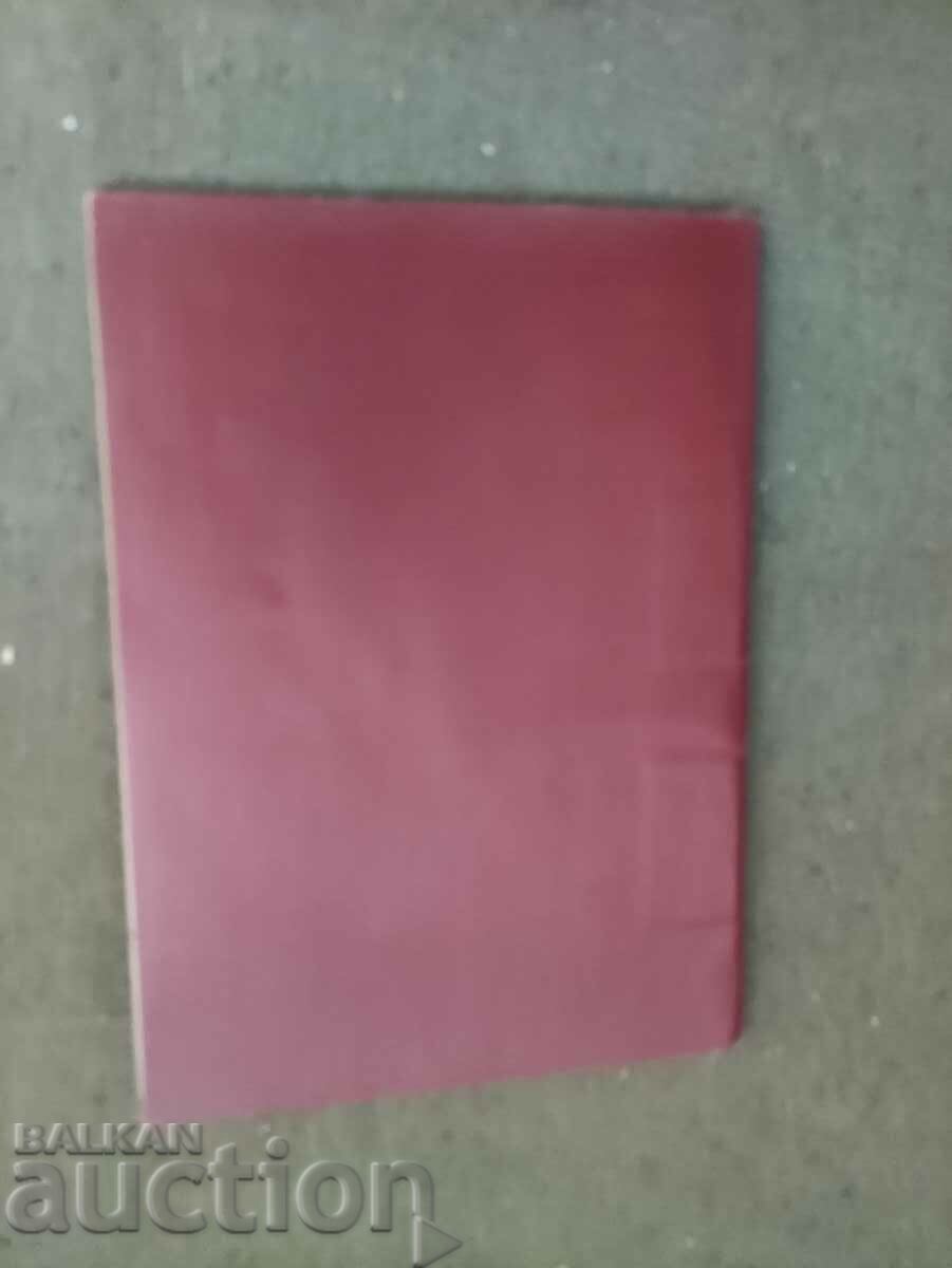 Auction Zorkiy S Description and rules of the user Auction Zorkiy S Description and rules of the user