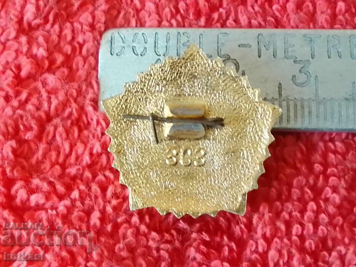 Old metal social badge Ready for Labor and Defense 4th USSR with price 5.50 BGN | € 2.81 Old metal social badge Ready for Labor and Defense 4th USSR with price 5.50 BGN | € 2.81