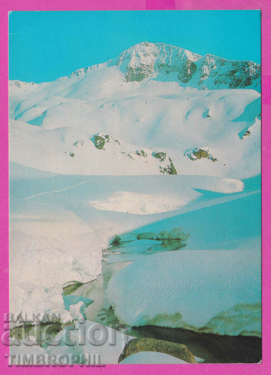 309262 / Vârful Pirin „Bunderishki Chukar” 1980 septembrie PK