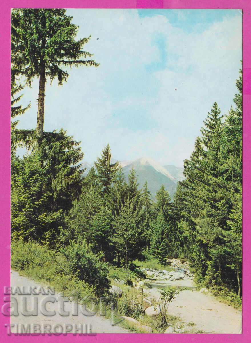 Auction 309265 / Pirin - Summer view 1974 Photo edition PK Auction 309265 / Pirin - Summer view 1974 Photo edition PK