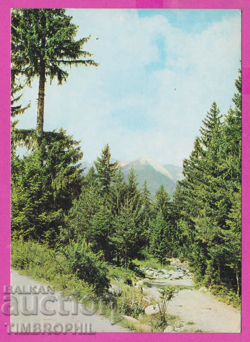 309265 / Пирин - Летен изглед 1974 Фотоиздат ПК