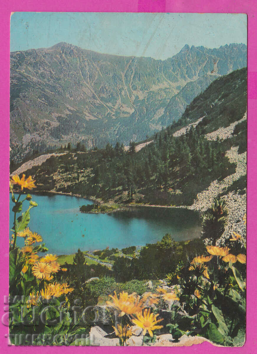 Auction 309274 / Pirin - Vasilashko Lake Akl-2030 Photo Edition PK Auction 309274 / Pirin - Vasilashko Lake Akl-2030 Photo Edition PK