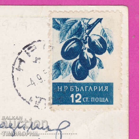 309337 / Letter to Vladimir Karakashev Playwright Narod. army - 7 309337 / Letter to Vladimir Karakashev Playwright Narod. army - 7