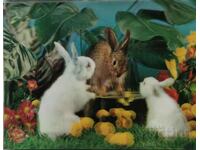 Japanese stereo postcard - Bunnies in the forest. TOPP...