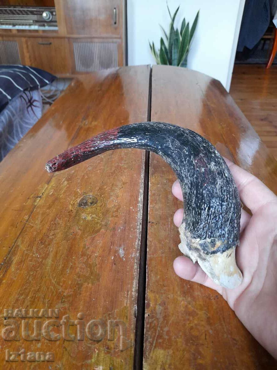 Old horn with price 27.00 BGN | € 13.80