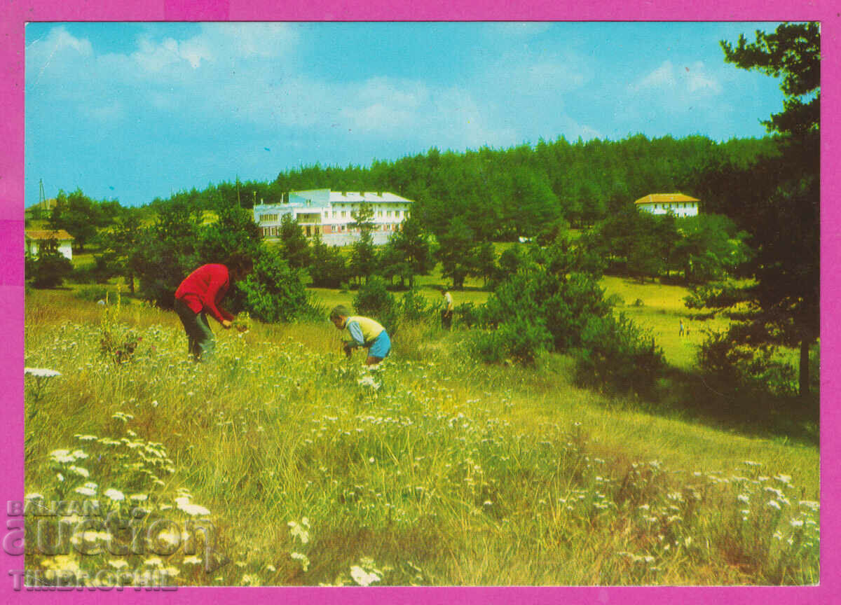 309371 / IV National Tourist Assembly Zdravets 5.-6.X. 1974 Plovdiv - 5 309371 / IV National Tourist Assembly Zdravets 5.-6.X. 1974 Plovdiv - 5