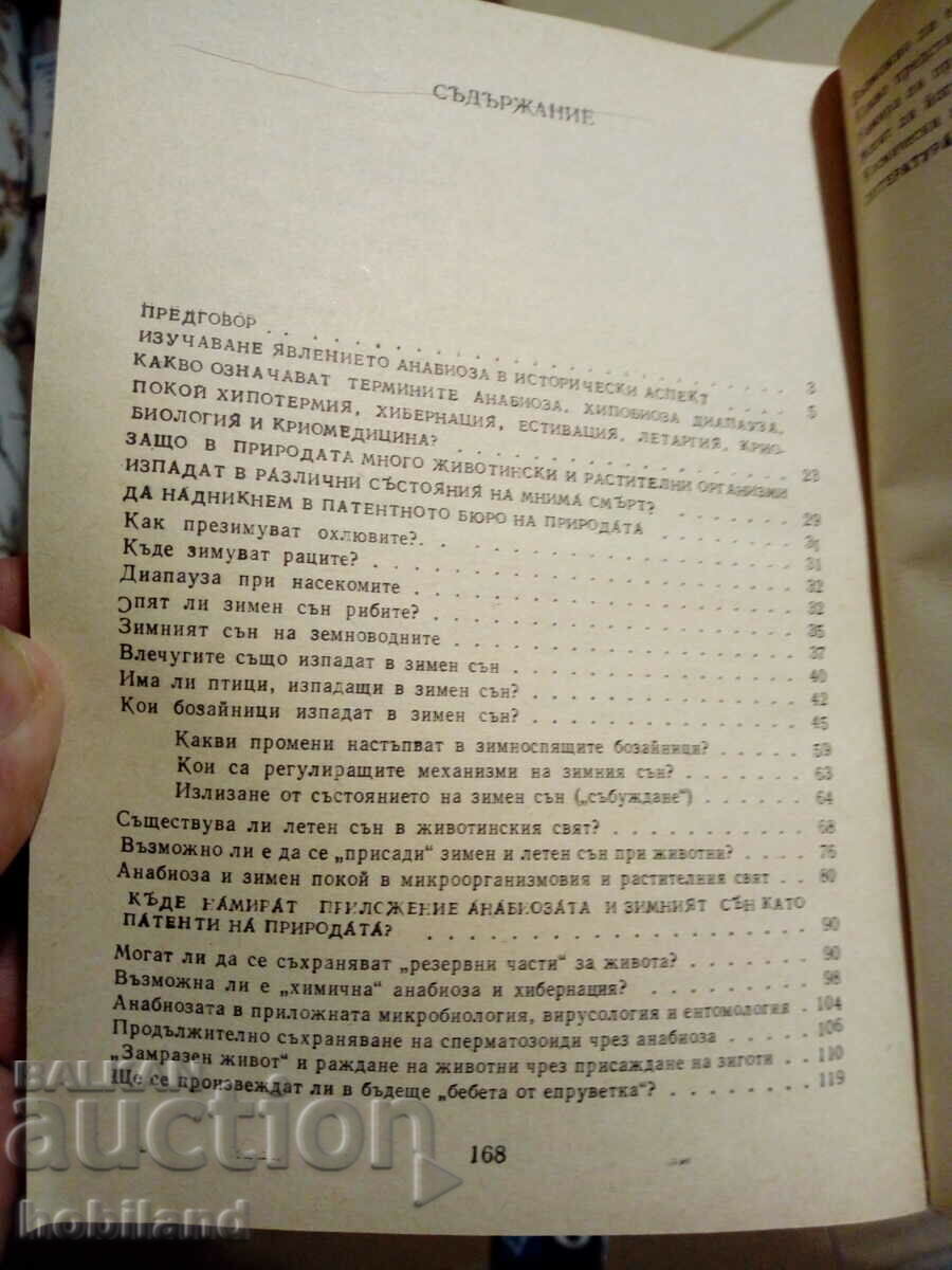 Аукцион На границата на живота