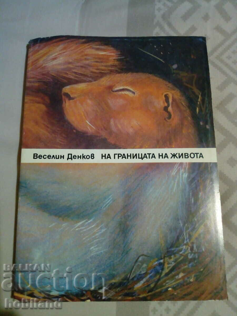 На границата на живота