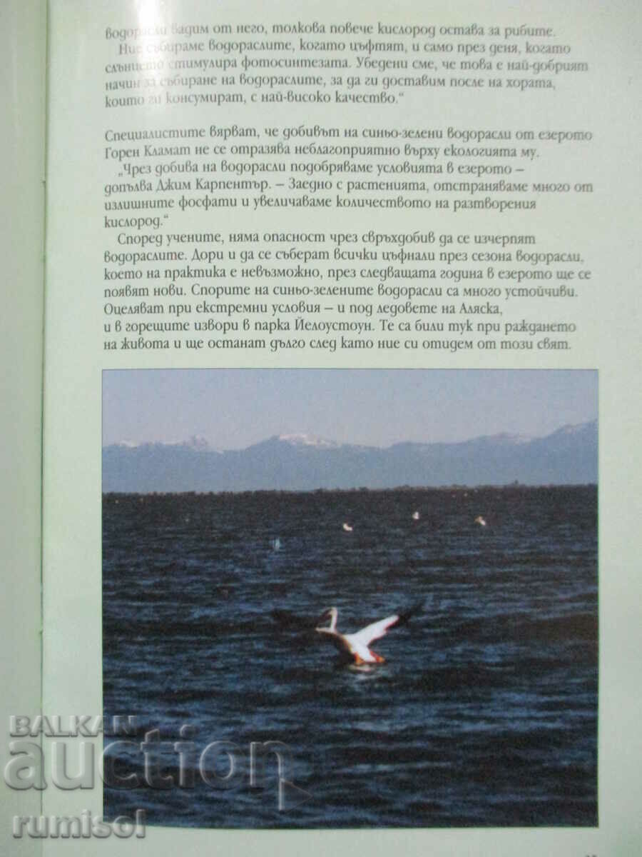 Надежда, наречена Кламат - Т. Троев - 6