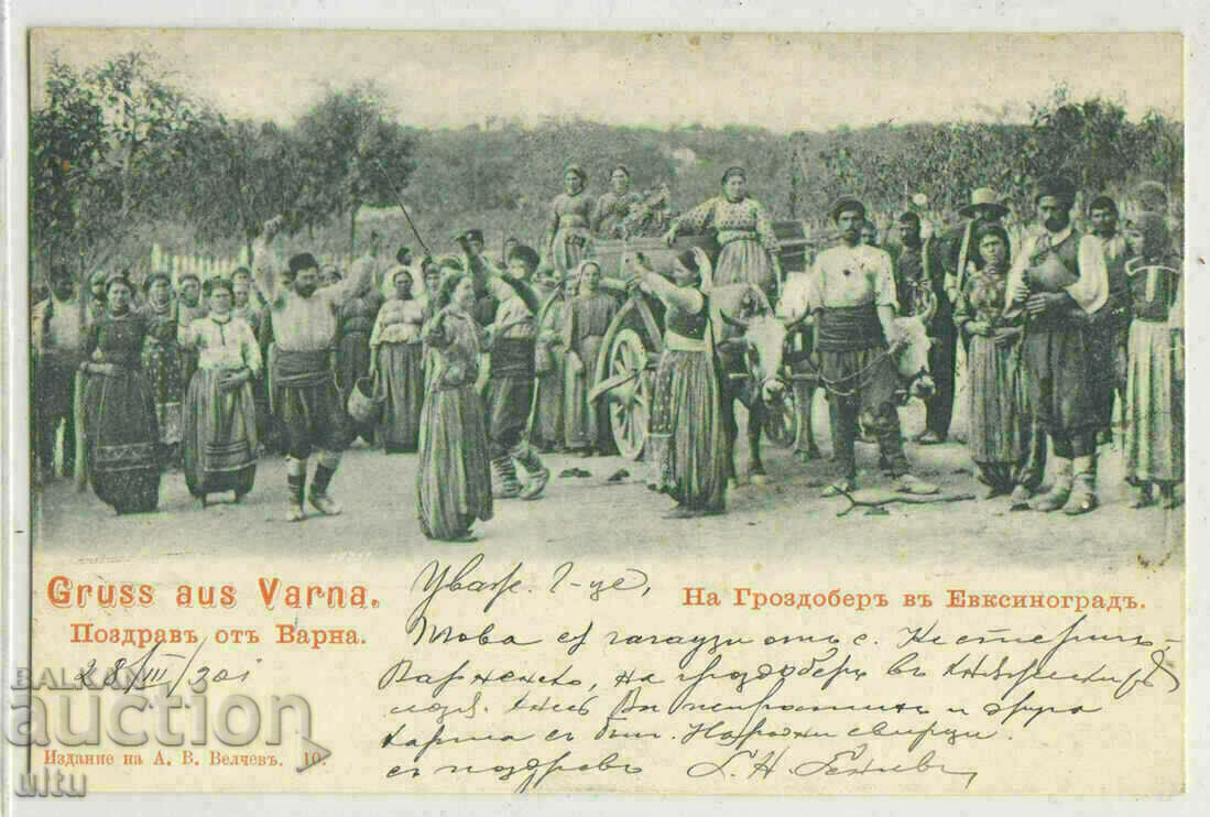 България, Варна, Гроздобер в Евсиновград, 1901 г.