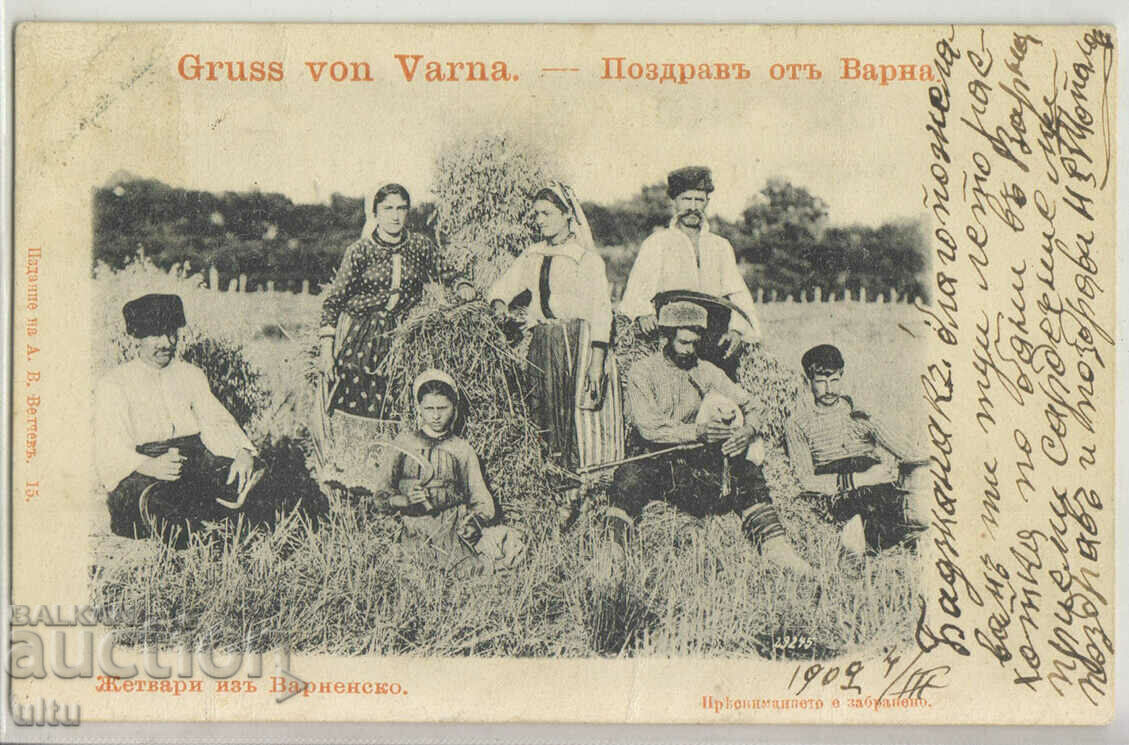 Bulgaria, Varna, Harvesters from Varna region, 1902.