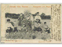 Bulgaria, Varna, Harvesters from Varna region, 1902.