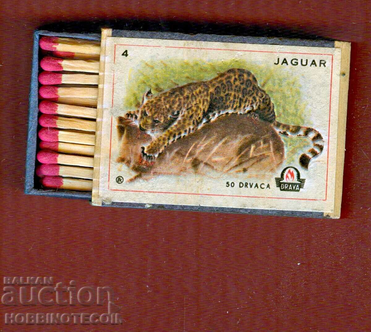 Συλλεκτικοί αγώνες DRAVA - 4 - JAGUAR YUGOSLAVIA