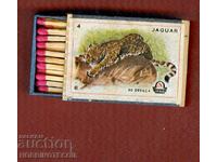 Συλλεκτικοί αγώνες DRAVA - 4 - JAGUAR YUGOSLAVIA