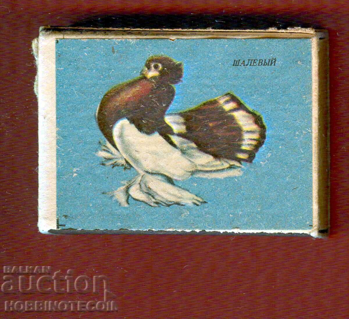 Collectible Matches match PIGEON - 1