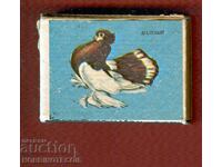 Collectible Matches match PIGEON - 1